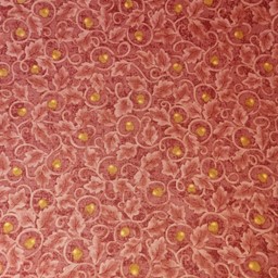 Zeige Details für Acorn Twirl Maple Bild von Acorn Twirl Maple