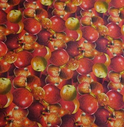 Zeige Details für The Secret Life of Squirrels III Bild von The Secret Life of Squirrels III