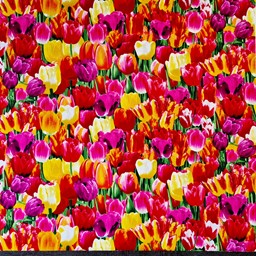 Bild von Patchworkstoff Tulpen