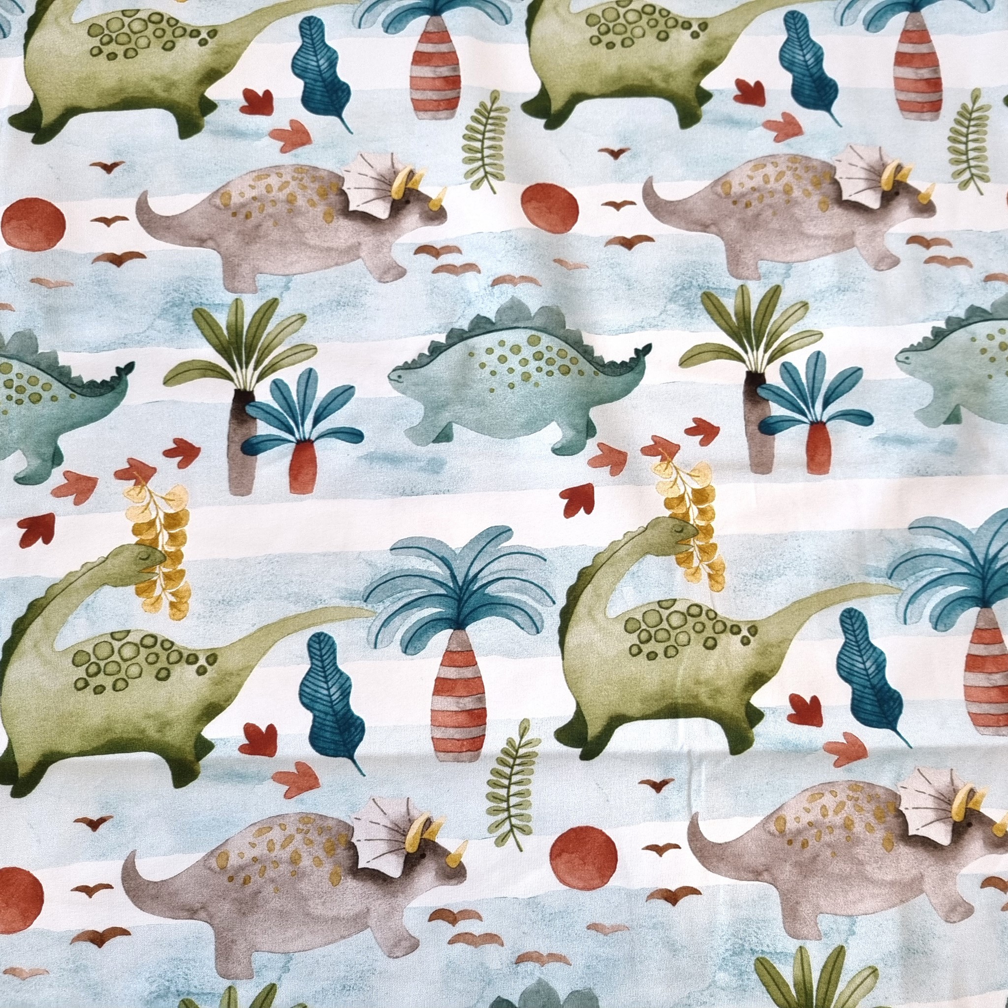 Bild von Baumwolljersey Dinosaurier