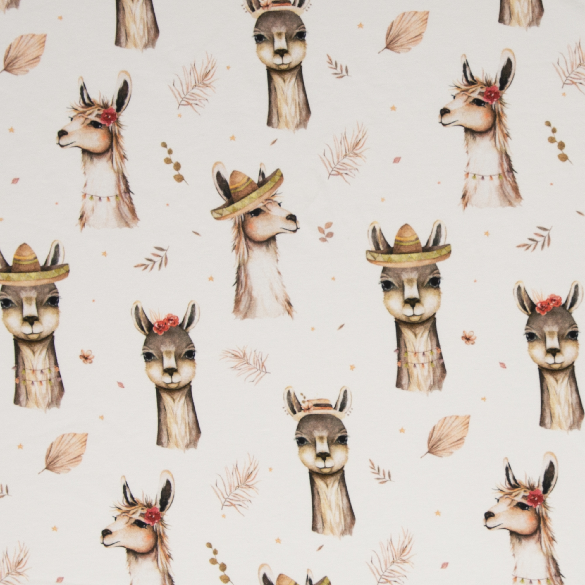 Bild von  Baumwolljersey Alpaka, Lama, weiß, pastell, beige, 