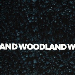 Bild von  Baumwolljersey Sweat Woodland  blau schwarz Streifen