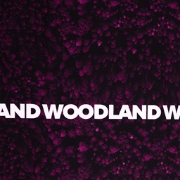 Bild von Baumwolljersey Sweat Woodland pink schwarz Streifen