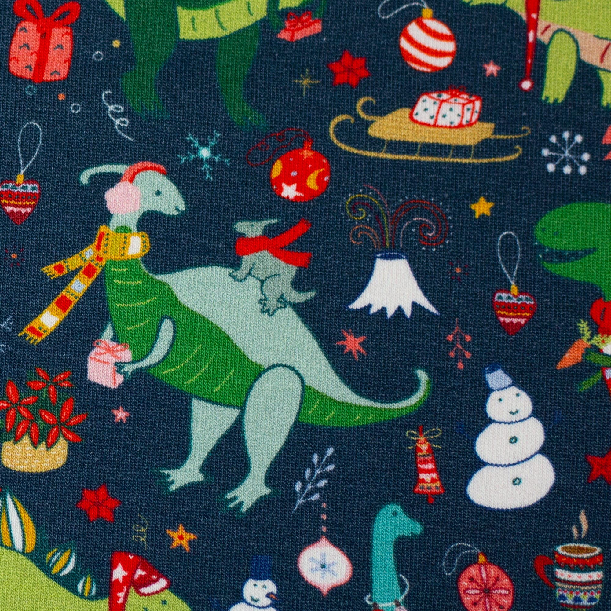 Bild von Sweat Holly Dino